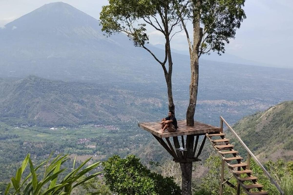 seekor anjing duduk di atas pelantar kayu di sebelah pokok