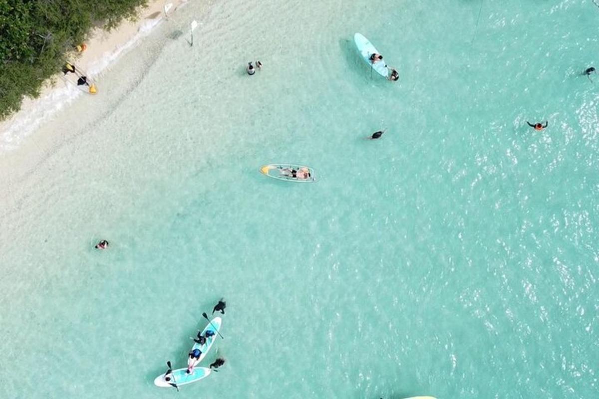 a group of people in the water at a beach
