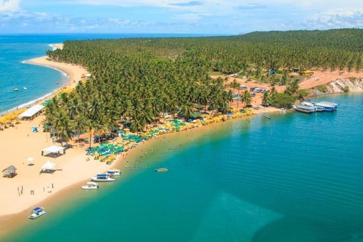 an aerial view of a beach with people and umbrellas