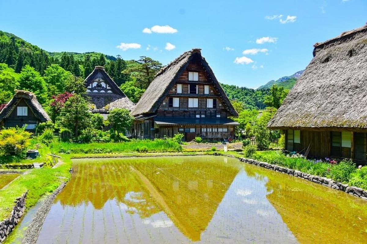 景點／活動相片 4