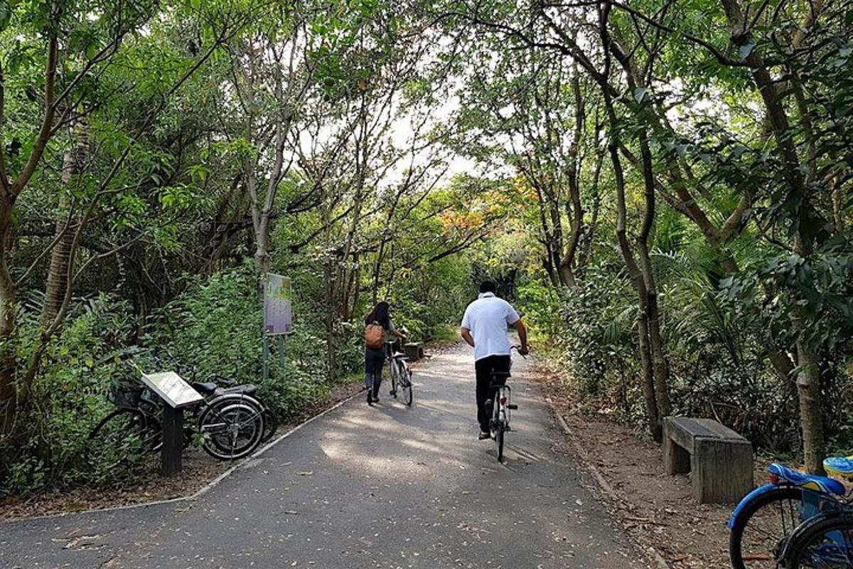 two people riding bikes on a path in a forest