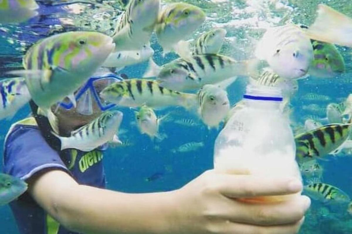 seseorang yang memegang botol dengan ikan di dalam air