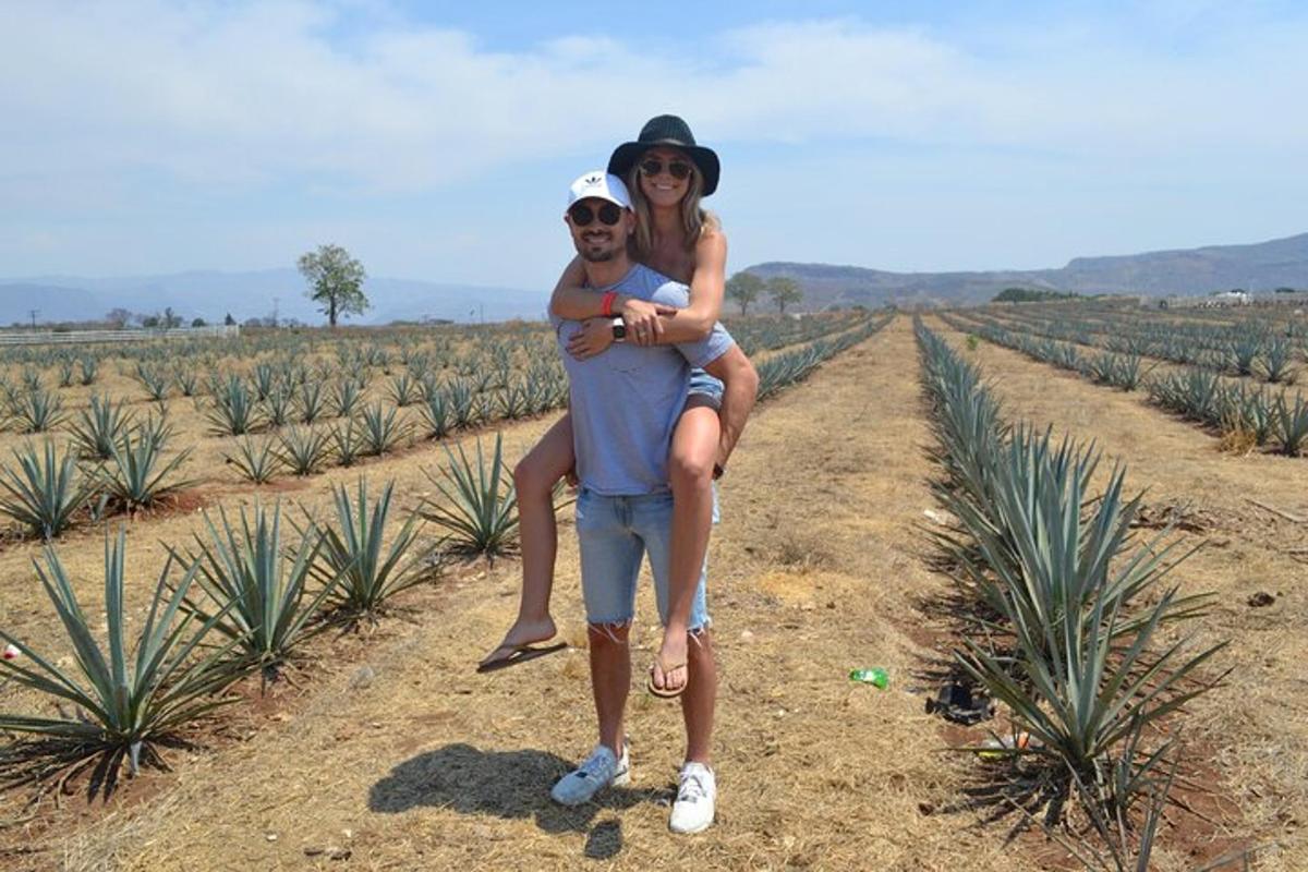 a man and woman standing in a pineapple plantation