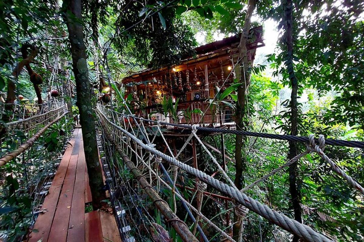 a bridge in a forest with a building in the trees