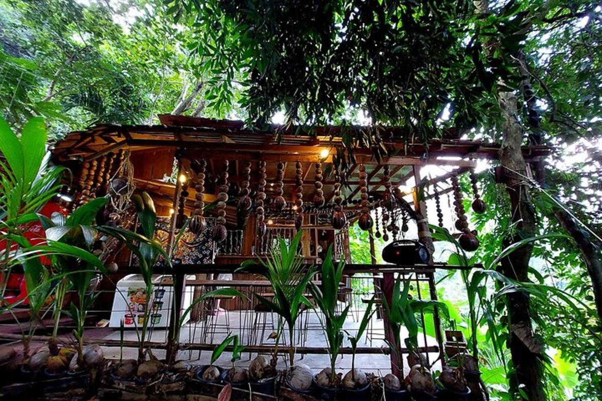 a tree house with plants in front of it
