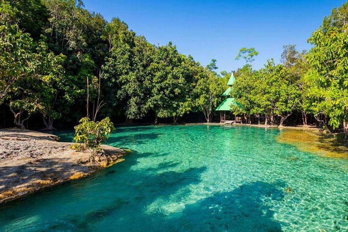 una pozza d'acqua blu in un fiume con alberi