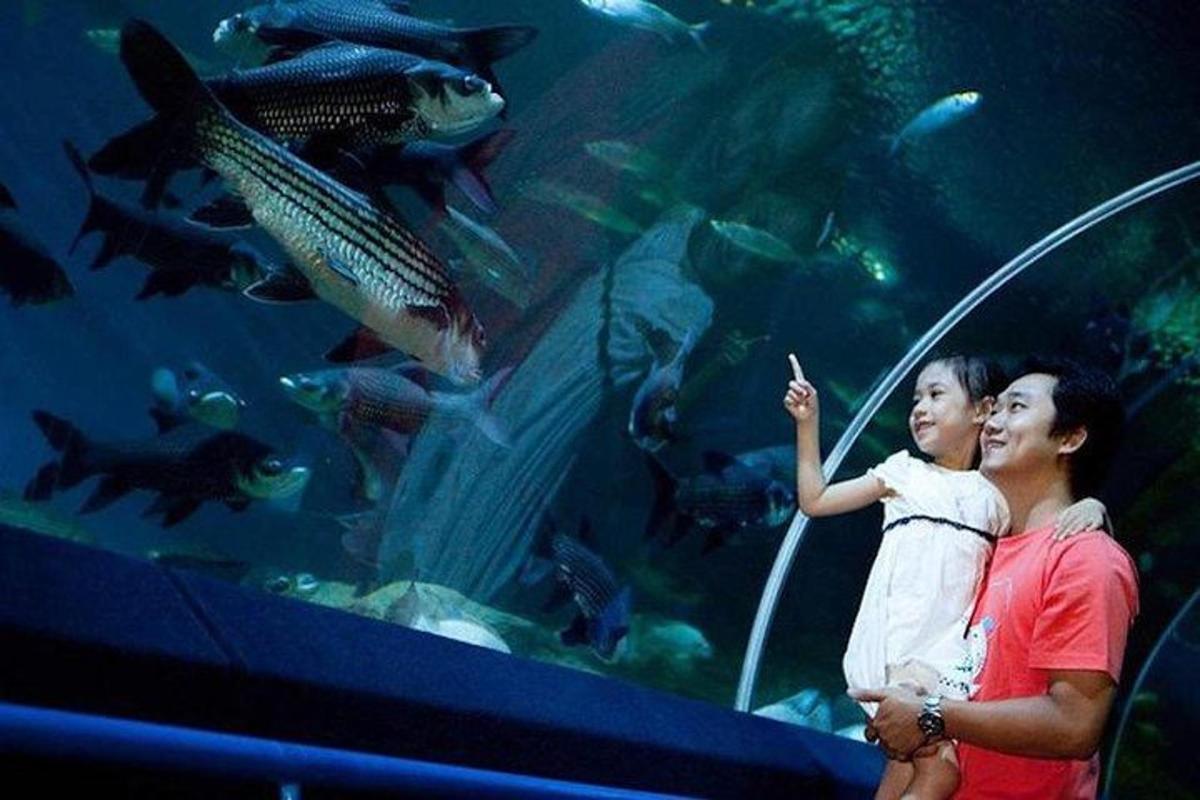a woman and a child standing in front of an aquarium