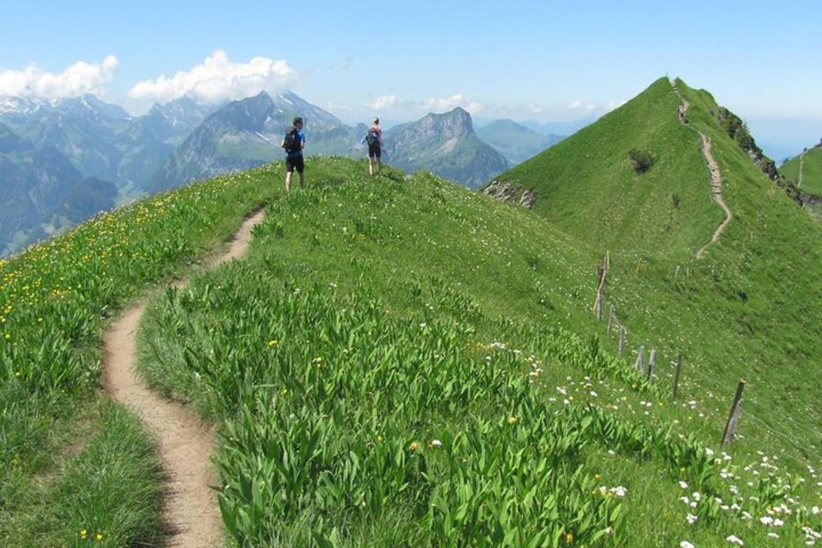 due persone in piedi in cima a una collina erbosa