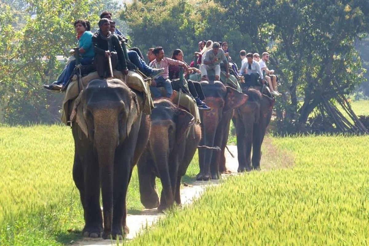 a group of people riding on the backs of elephants