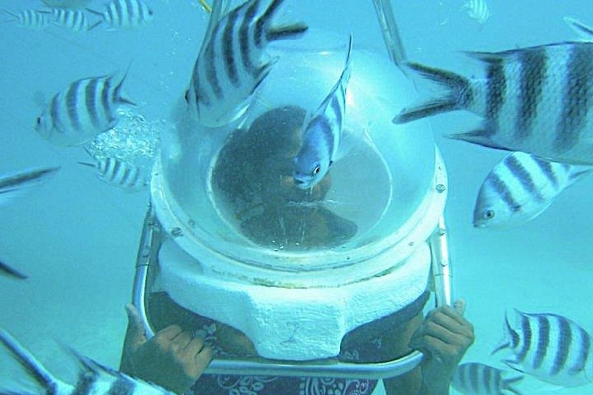 una persona con un pesce in una boccia nell'acqua