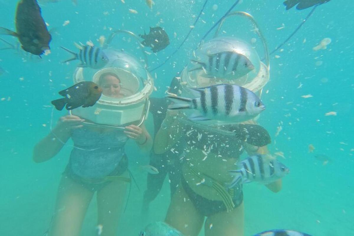 una donna in acqua con un gruppo di pesci