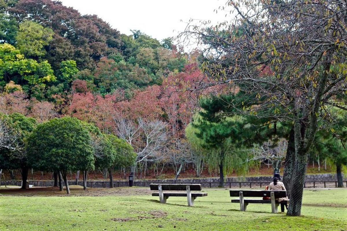 a person sitting on a bench in a park
