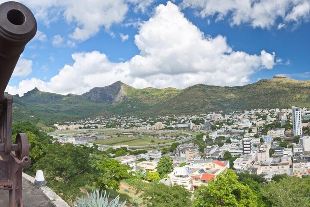 a view of a city with mountains in the background