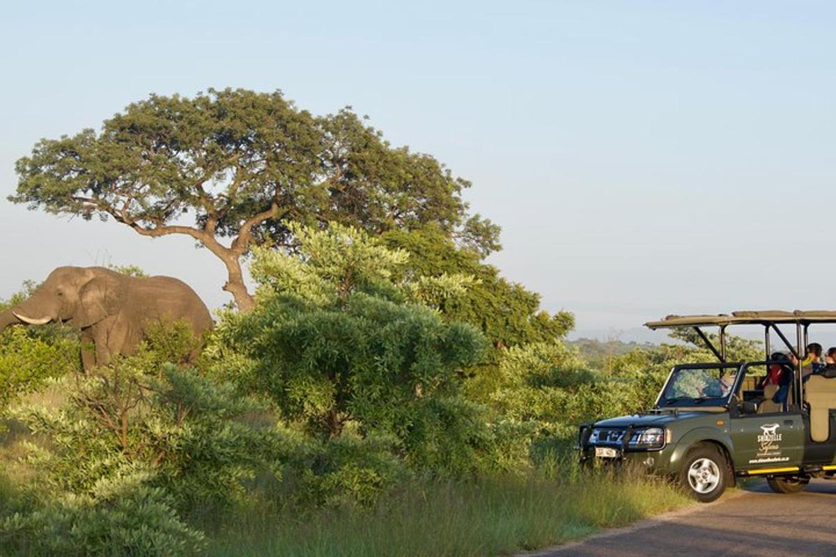 Un camión de safari circulando por una carretera con un elefante.