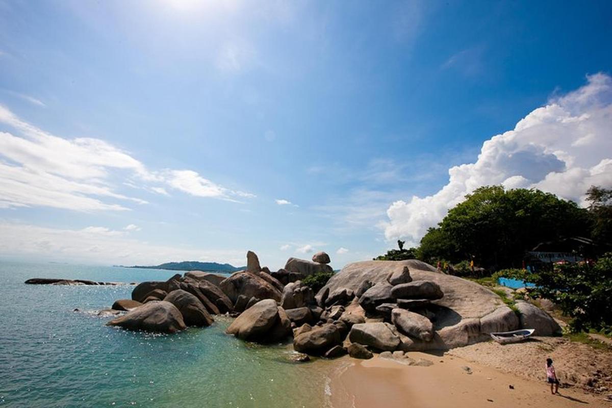 a group of rocks in the water on a beach