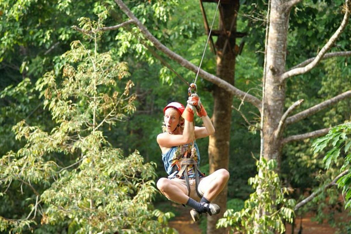 žena sedící na zip line na stromě
