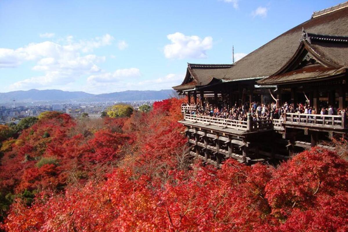 a group of people standing outside of a building with red trees