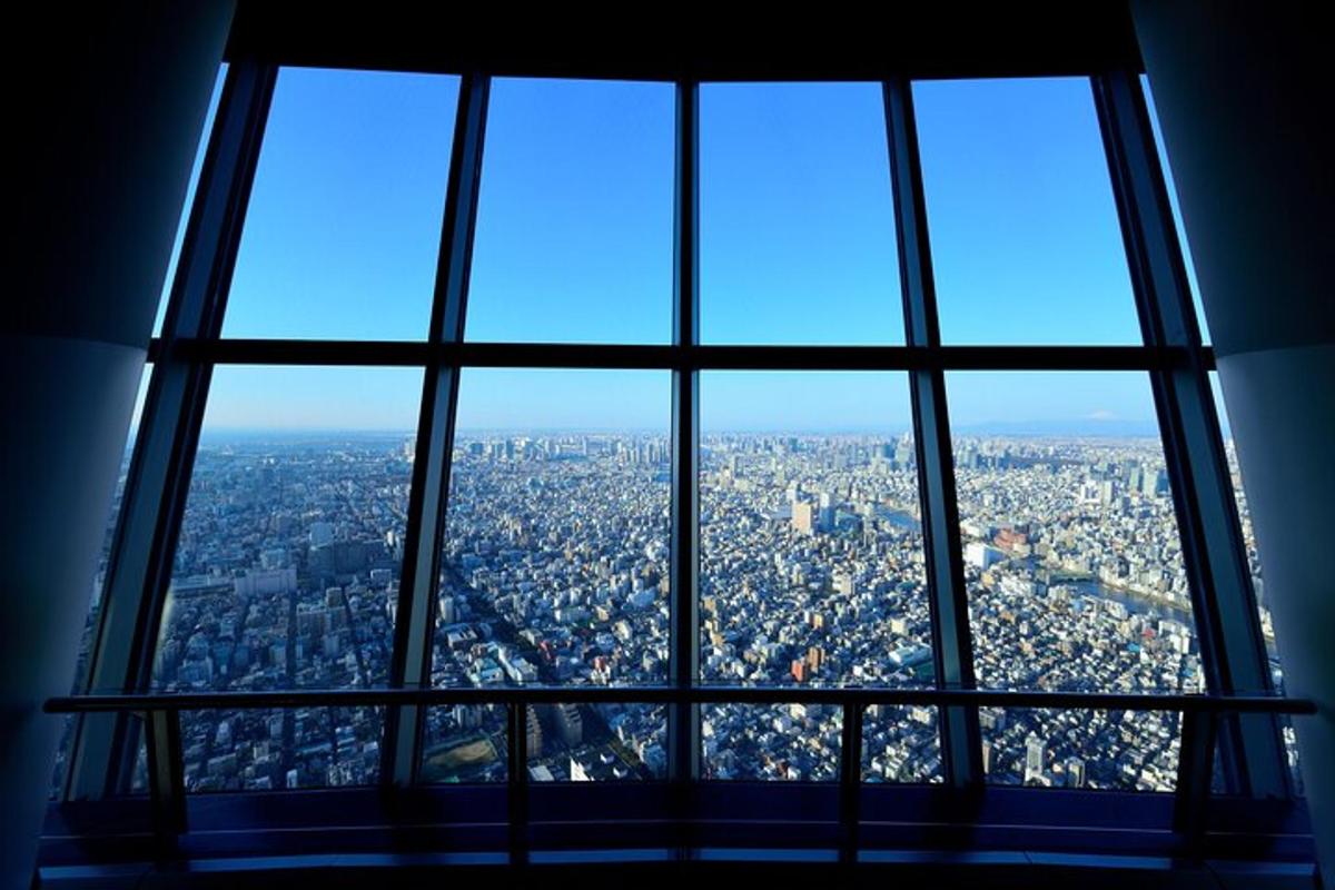 una vista de una ciudad desde una ventana