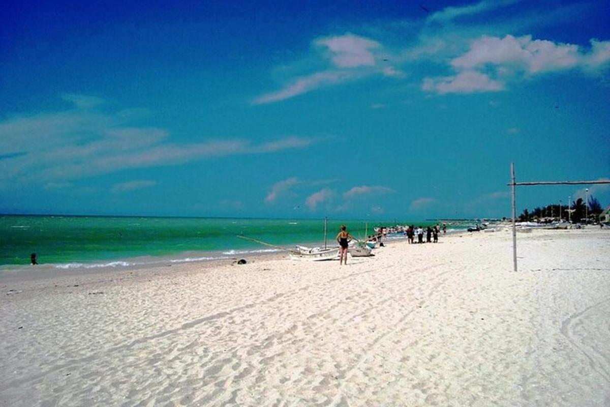 a group of people standing on a beach