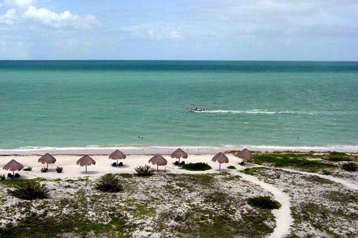 a group of umbrellas on a beach with the ocean