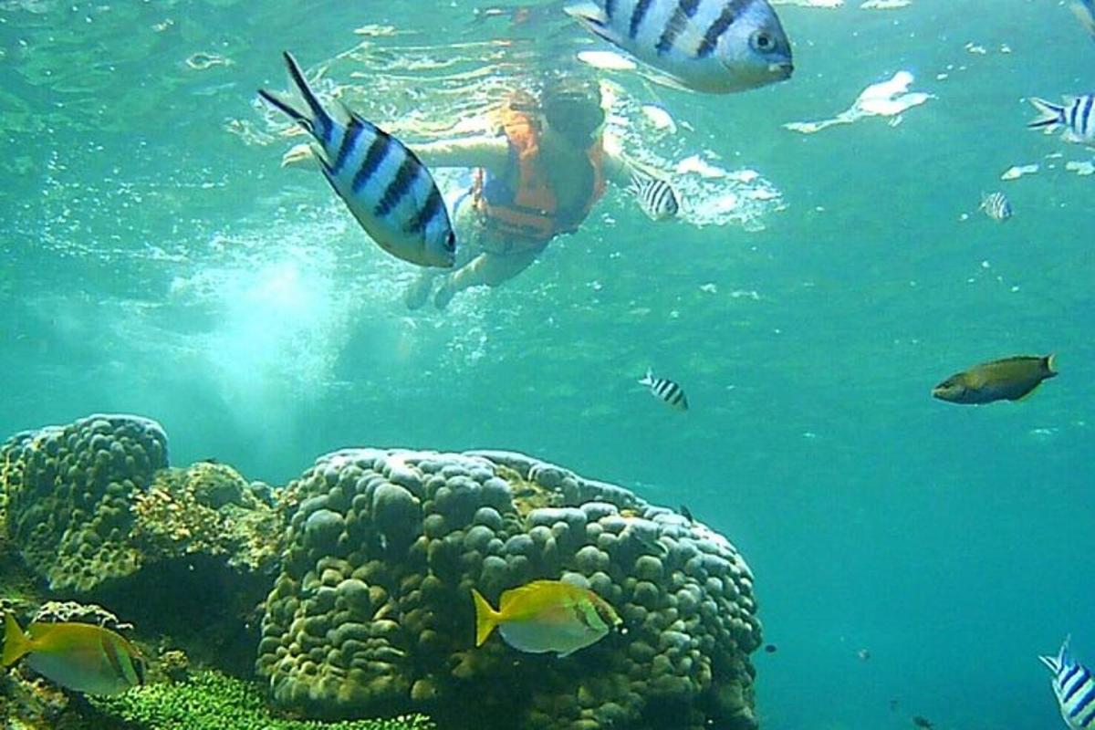 una persona che nuota nell'oceano con i pesci