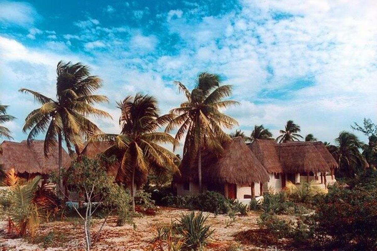 a resort with palm trees in front of a building