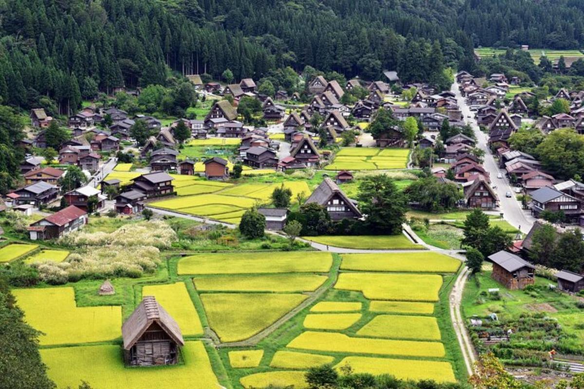 an aerial view of a village with rice fields