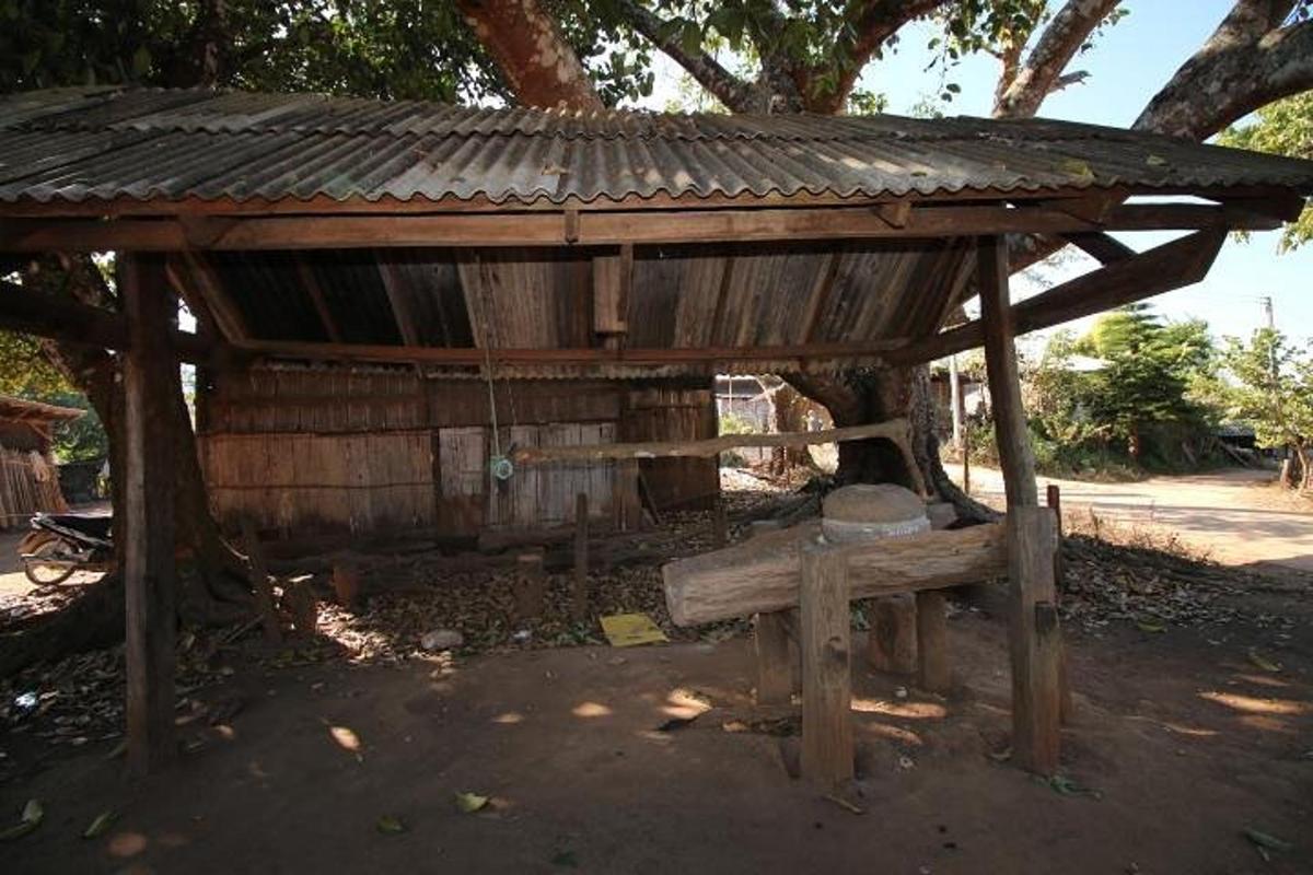 una cabana de fusta amb un banc davant d'un arbre