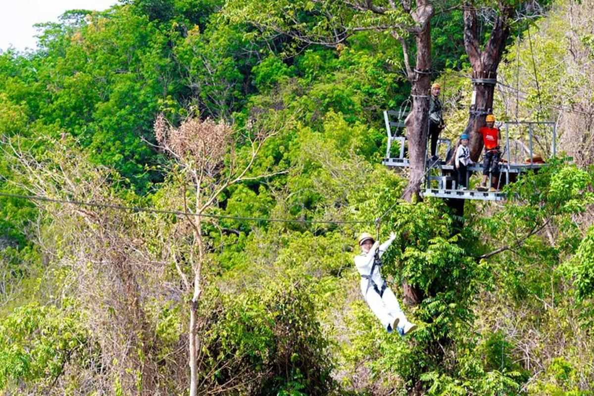 un gruppo di persone su una teleferica tra gli alberi