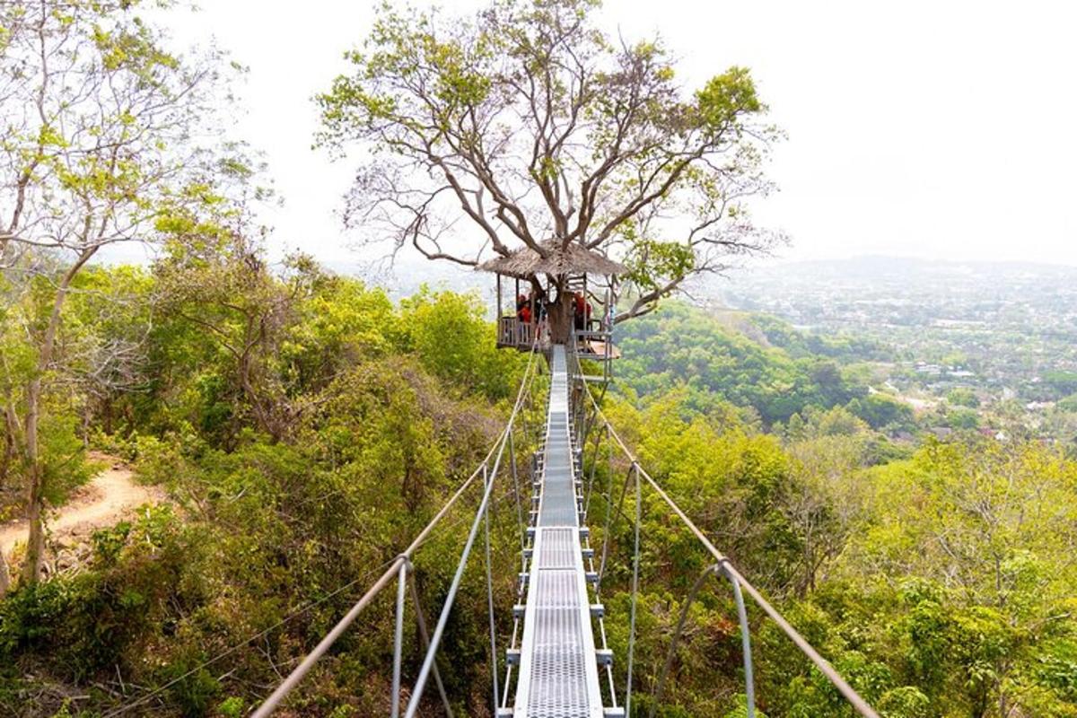 a suspension bridge on a mountain in the forest