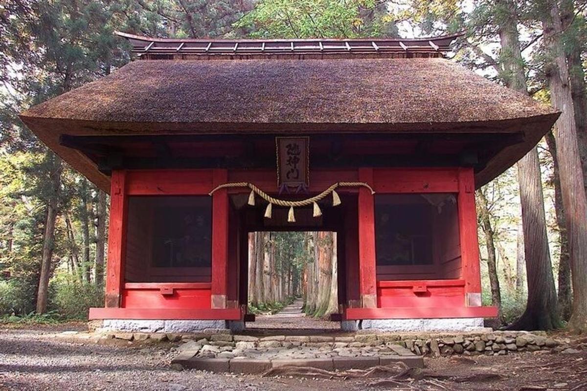 a small red building in the middle of a forest
