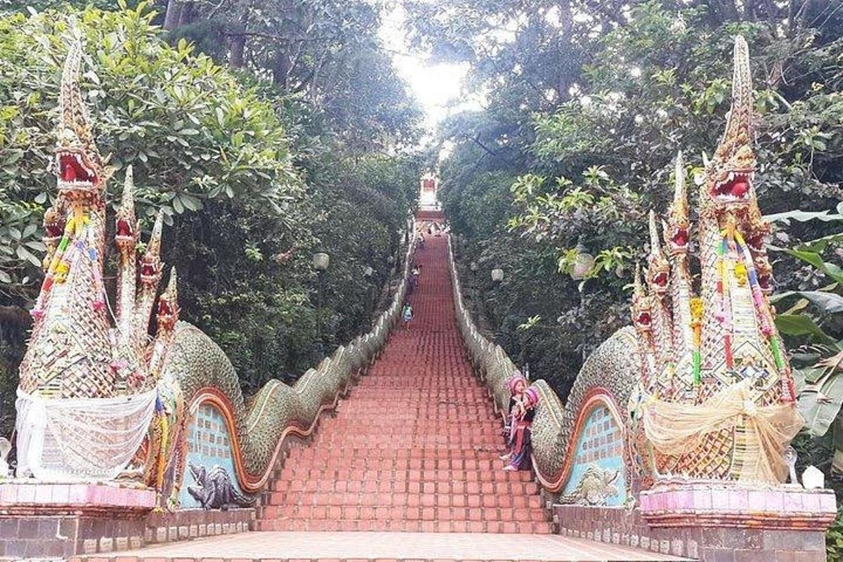 một lối đi lát gạch đỏ trong một khu rừng cây