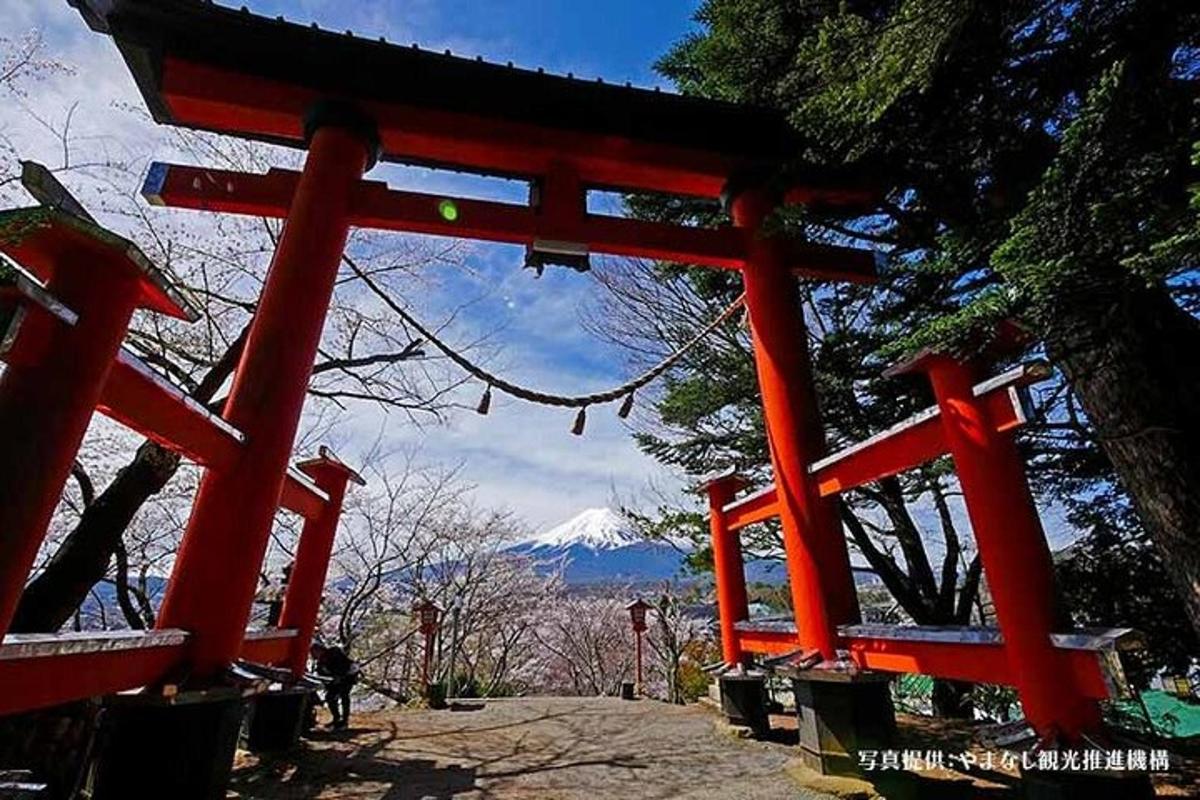 un cancello torii rosso con una montagna sullo sfondo