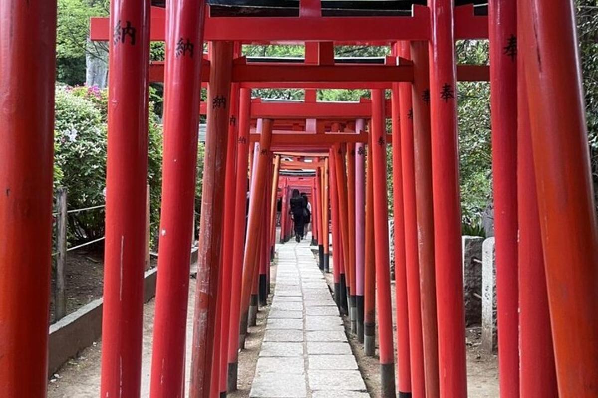 un corridoio di cancelli torii rossi in un giardino