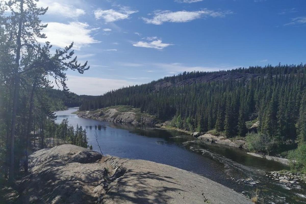 a view of a river in the middle of a forest