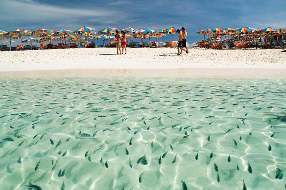 eine Gruppe von Menschen steht mit Sonnenschirmen an einem Strand