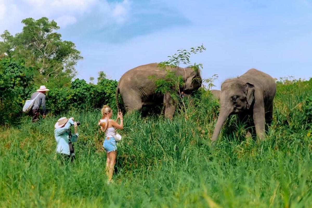 dua orang berdiri di padang dengan dua ekor gajah