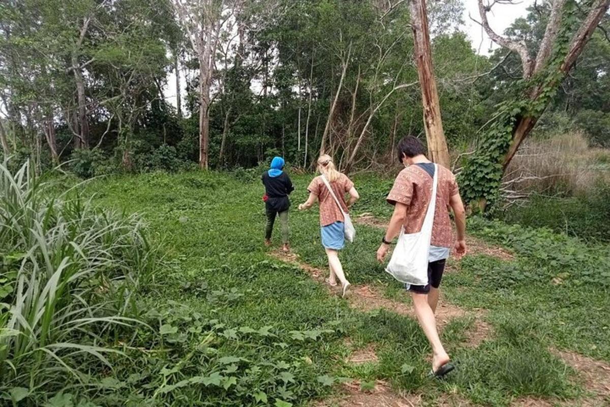 tiga orang berjalan di atas denai di dalam hutan