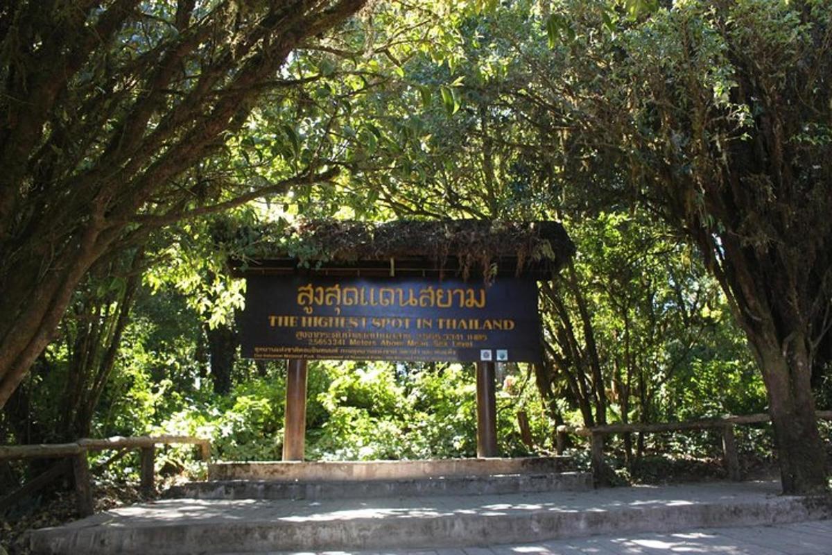 silt keset puudega parki