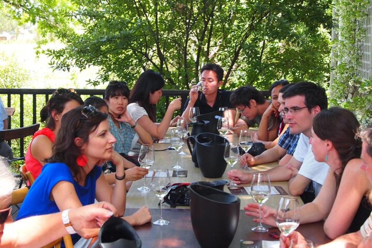 a group of people sitting at a table with wine glasses