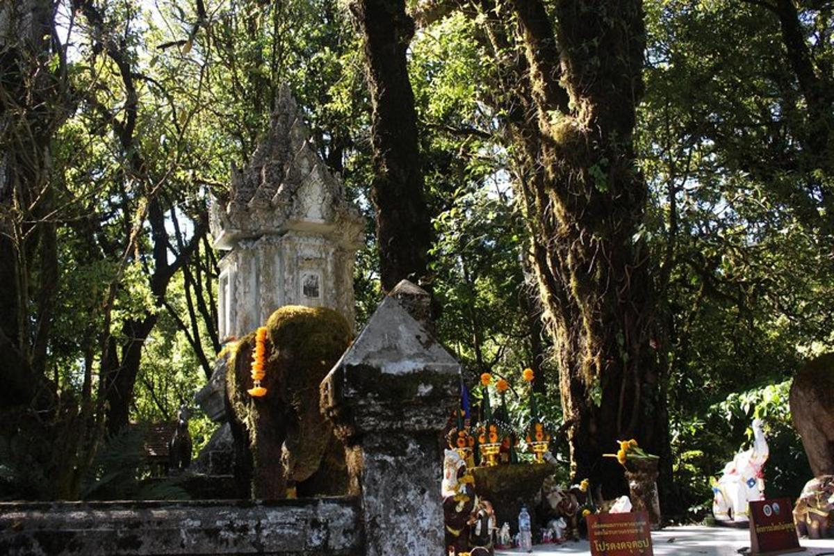 uma estátua de um leão em um parque com árvores