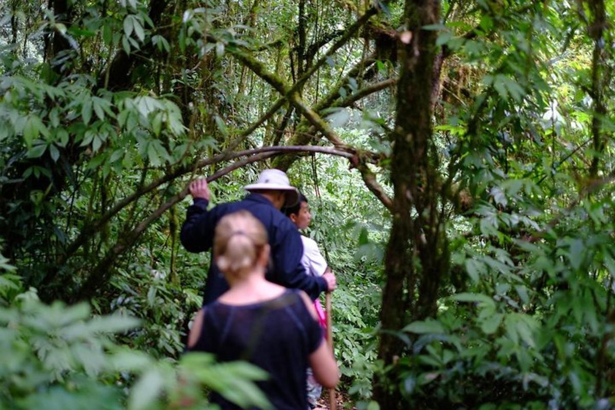 seorang lelaki dan seorang wanita berjalan melalui hutan