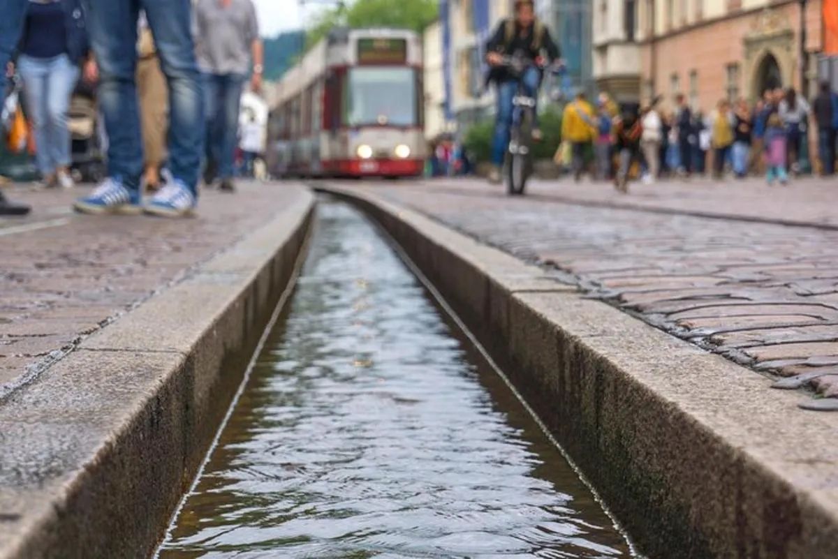 Freiburg Self-Guided City Walking Tour & Scavenger Hunt – photo 7