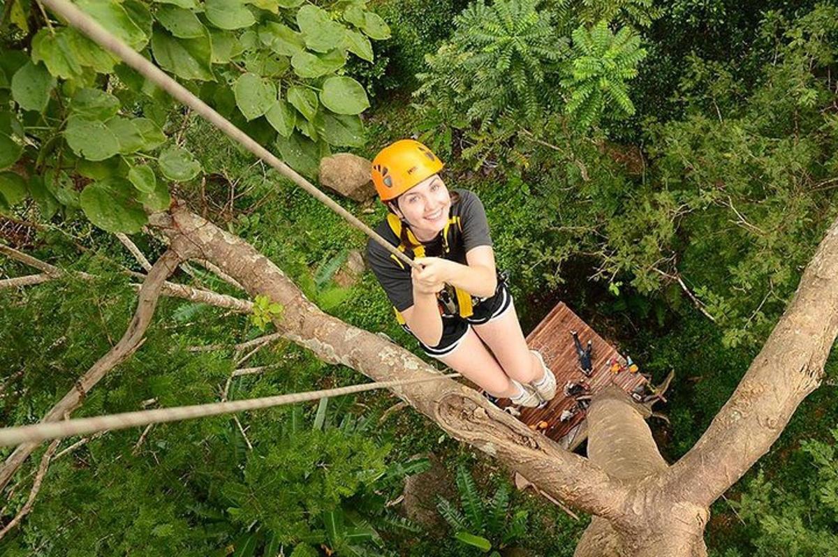 una donna sta scalando un albero con una teleferica