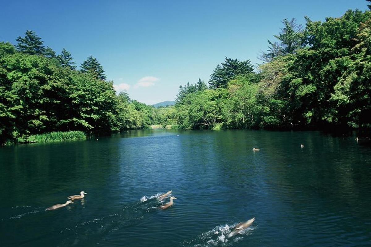 un grupo de personas nadando en un río