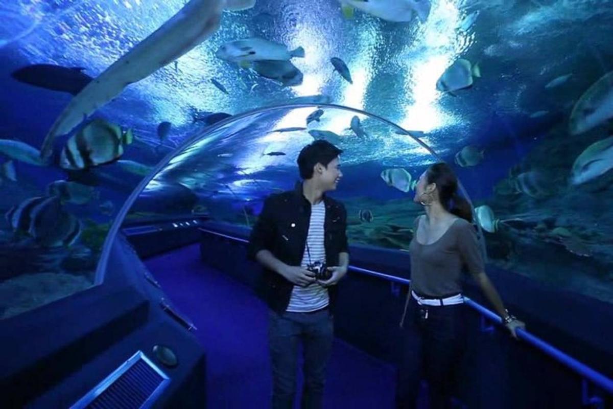 a man and a woman standing in front of an aquarium