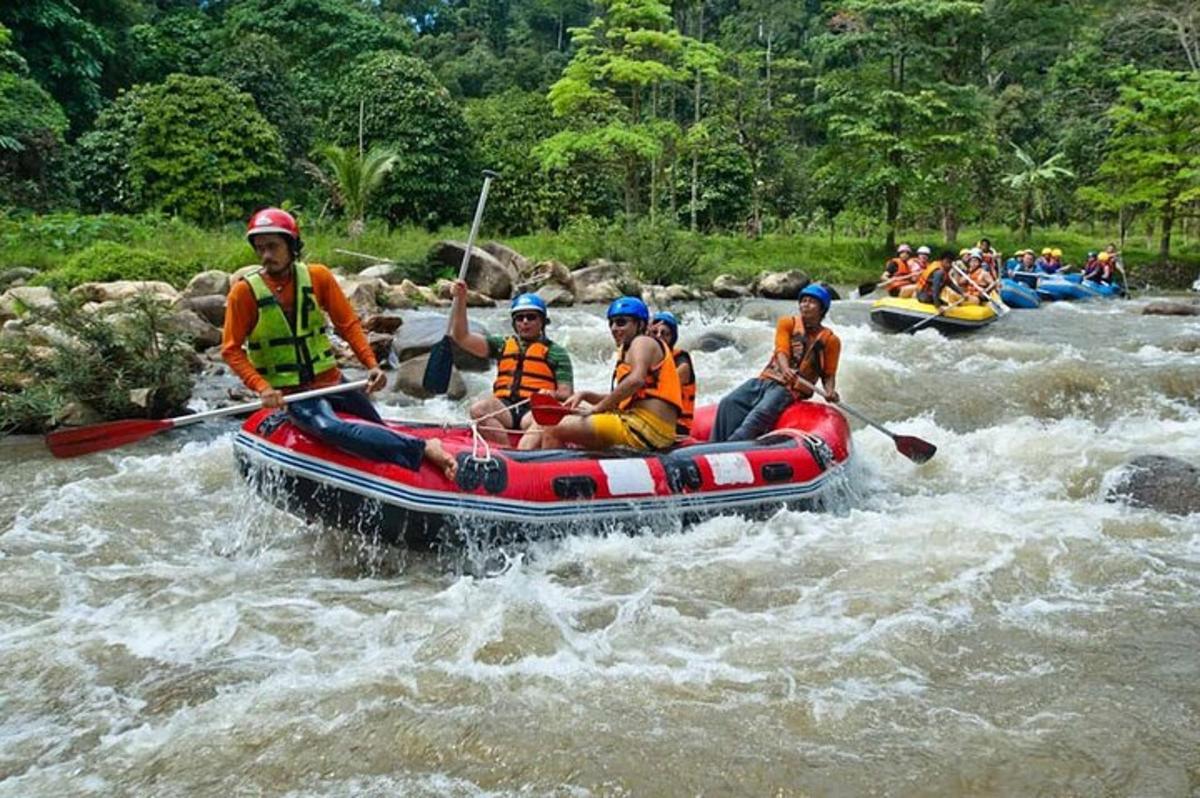 um grupo de pessoas está fazendo rafting em um rio