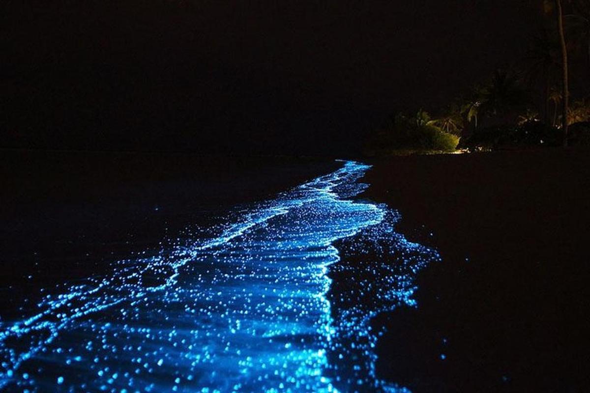 Una playa de noche con luces azules en el agua.