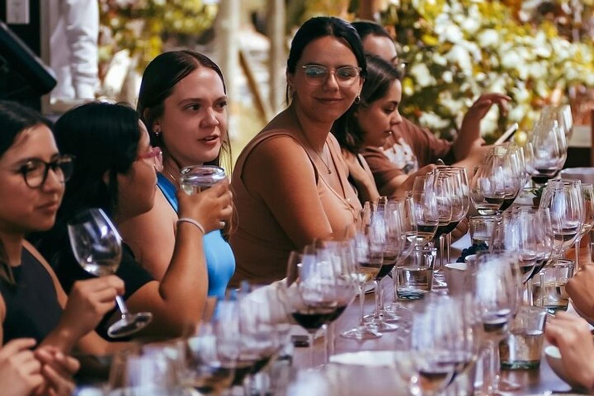 Un grupo de mujeres sentadas en una mesa con copas de vino.