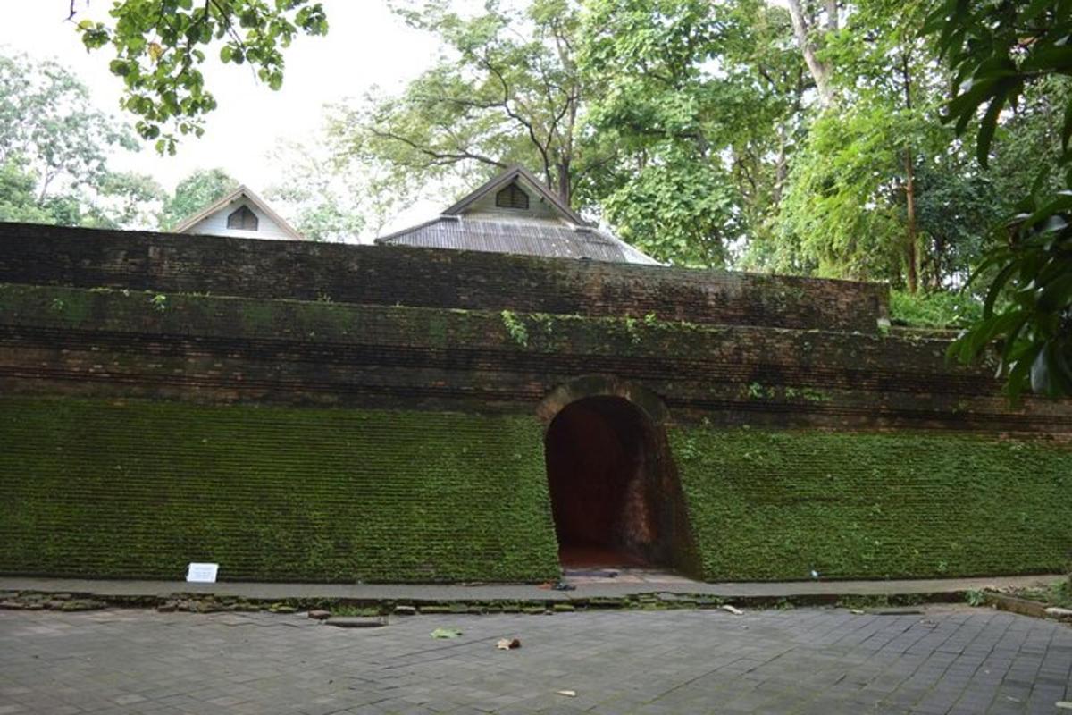Una pared de ladrillos con un túnel en ella
